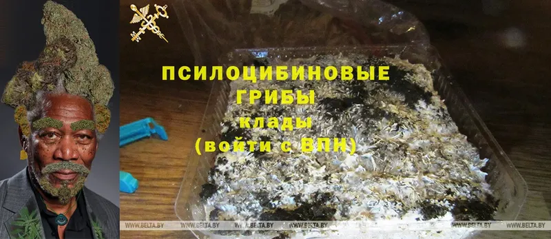 Цена Воркута Гашиш  Cocaine  Мефедрон  Альфа ПВП  Бошки Шишки 