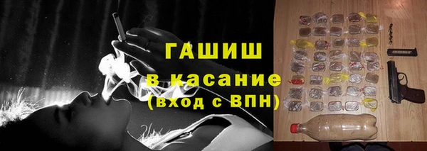 твердый Бородино