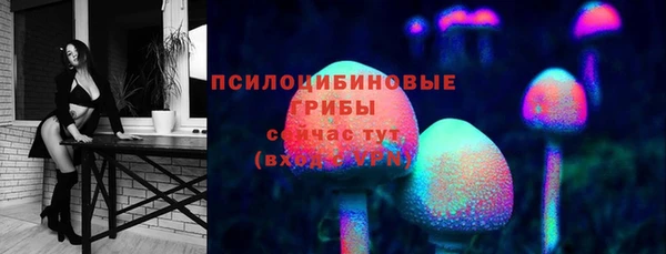 прущие грибы Бугульма