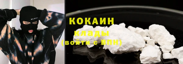 прущие грибы Бугульма
