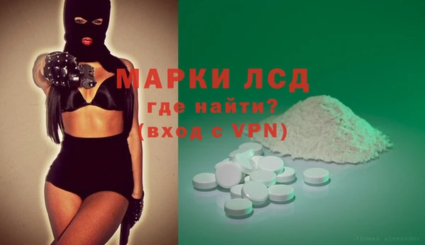 твердый Бородино