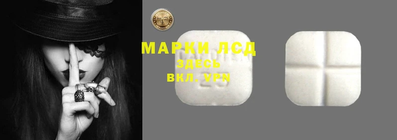 твердый Бородино