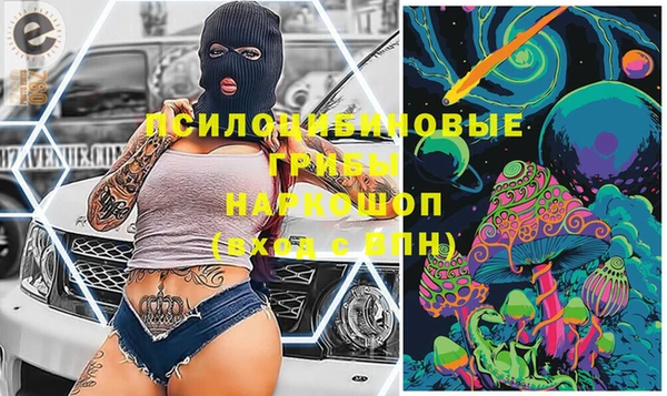 прущие грибы Бугульма