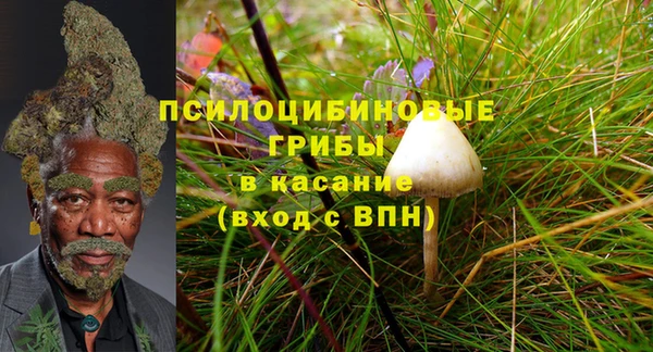 твердый Бородино