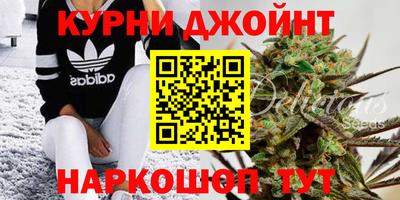 стаф Волгодонск