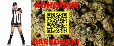 стаф Волгодонск