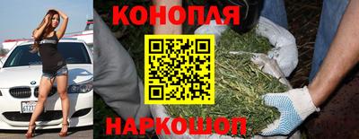 шишки Волжск