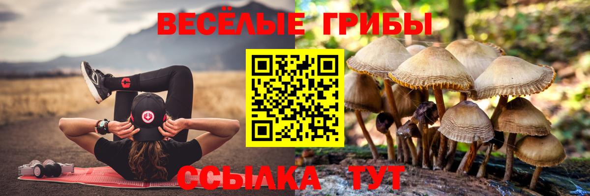 Воркута  Псилоцибиновые грибы прущие грибы  купить   Вход с VPN  Галлюциногенные грибы прущие грибы 