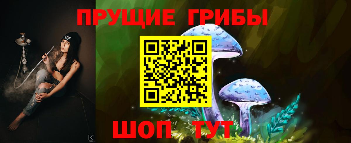 Галлюциногенные грибы мухоморы Воркута